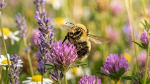 bumble bee puns